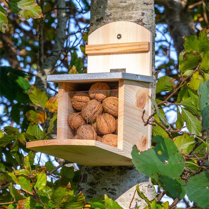 Omabeta Mangeoire à oiseaux à l’épreuve des écureuils Mangeoire pour  oiseaux résistante aux écureuils, grande jardin protection