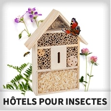 Hôtel à insectes