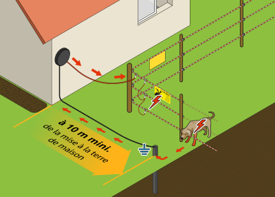 Comment choisir une clôture électrique pour animaux ?