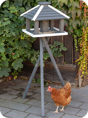 Jork de VOSS.garden - maison pour oiseaux robuste, avec mangeoire, support  inclus