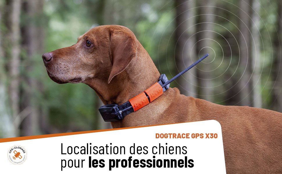 Localisateur GPS pour chiens Dogtrace Portée de 20 km avec